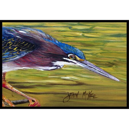Carolines Treasures Green Heron Indoor and Outdoor Mat- 18 x 27 in. JMK1016MAT